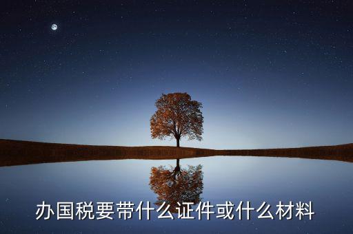 新辦國稅需要什么資料，第一次買國稅發(fā)票需要些什么手續(xù)