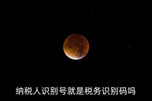 稅務(wù)標(biāo)識(shí)符是什么意思，納稅人識(shí)別碼是什么