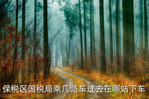 深圳市保稅區(qū)地稅局做什么車，深大北門到深圳市保稅區(qū)地稅局怎么走