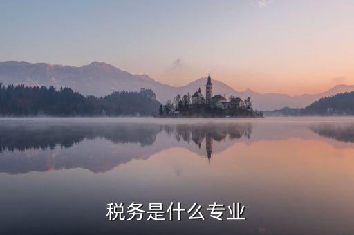 中文專業(yè)和稅務(wù)專業(yè)沒(méi)什么關(guān)系啊，稅務(wù)專業(yè)有哪些相近專業(yè)