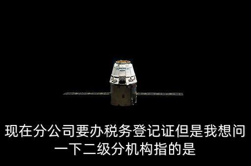 現(xiàn)在分公司要辦稅務(wù)登記證但是我想問一下二級(jí)分機(jī)構(gòu)指的是