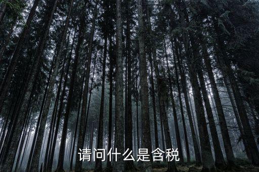 請問什么是含稅