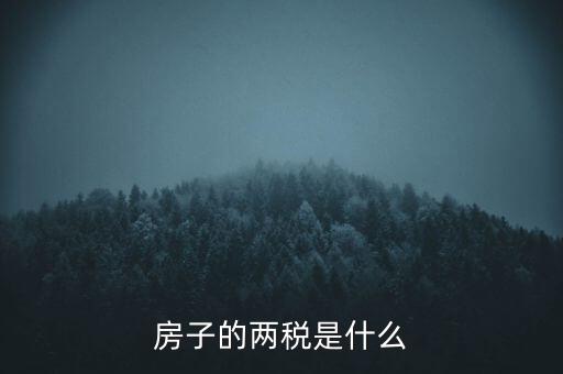 兩稅清查是指什么，房子的兩稅是什么