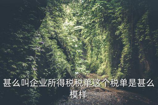 企業(yè)所得稅稅單是什么，稅單是什么怎樣提供稅單