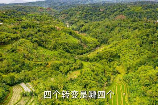四個(gè)轉(zhuǎn)變是什么   稅收，詳細(xì)介紹一下四種流轉(zhuǎn)稅