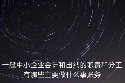 一般中小企業(yè)會計和出納的職責和分工有哪些主要做什么事賬務