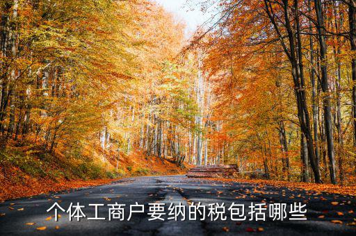 個體戶需要交什么稅，個體工商戶需要鈉哪些稅呢