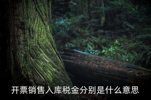 開(kāi)票銷售入庫(kù)稅金分別是什么意思