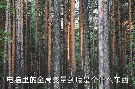 全局是什么意思，什么是指導全局工作決定全局命運的方針方式和計劃