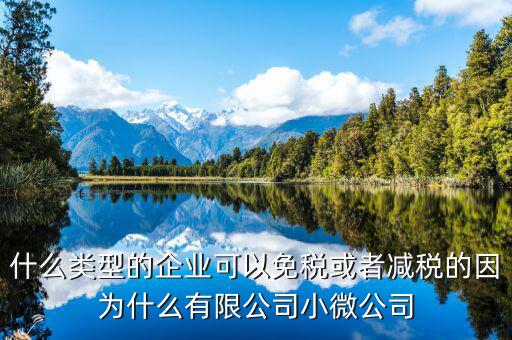 什么樣企業(yè)免交增值稅，免交增值稅的有哪些