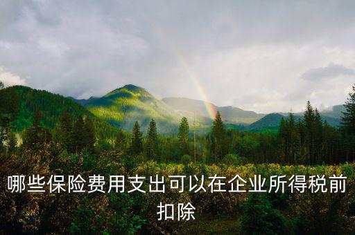 什么保險(xiǎn)可以稅前扣除，哪些保險(xiǎn)費(fèi)用支出可以在企業(yè)所得稅前扣除