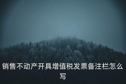銷售不動(dòng)產(chǎn)開(kāi)具增值稅發(fā)票備注欄怎么寫(xiě)