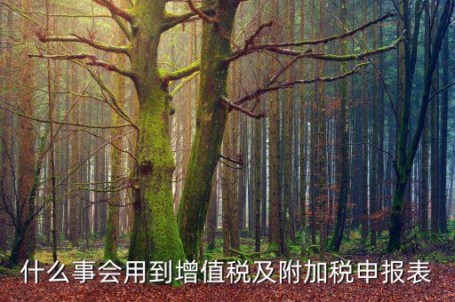 什么是附加稅申報表，增值稅及附加稅費申報表怎么填