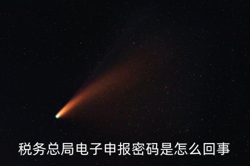 電子稅務默認登錄密碼是什么意思，稅務局網站的登入賬戶初始密碼是什么