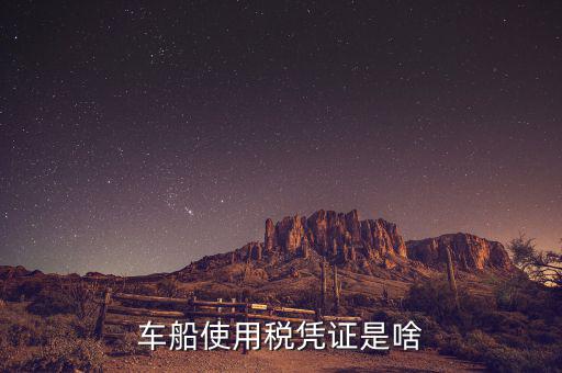 車船稅繳納憑證是什么意思，車船使用稅憑證是啥