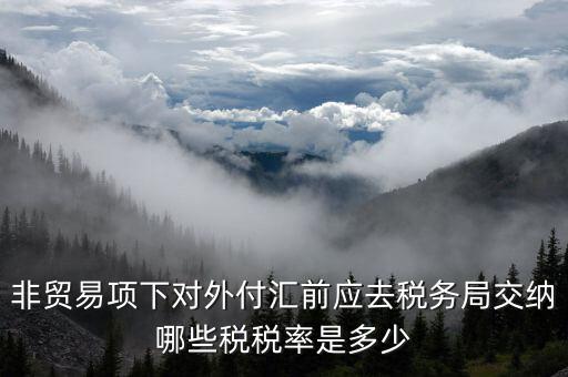 為什么非貿(mào)易付匯要繳稅，公司剛剛做了筆非貿(mào)易付匯紅利股息匯出問(wèn)一下匯出金額是要扣