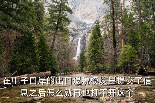 為什么退稅平臺(tái)進(jìn)不去，在電子口岸的出口退稅模塊里提交了信息之后怎么就再也打不開這個(gè)