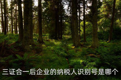 三證合一的納稅人識別號是什么，三證合一后企業(yè)的納稅人識別號是哪個