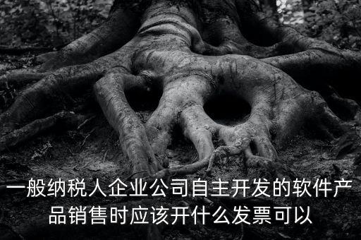 賣軟件交什么稅，一般納稅人企業(yè)公司自主開發(fā)的軟件產(chǎn)品銷售時應該開什么發(fā)票可以