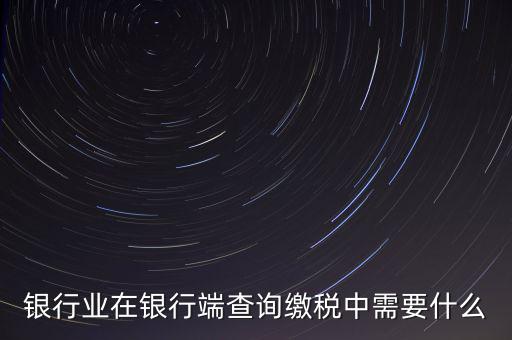 銀行端查詢繳稅要帶些什么，銀行業(yè)在銀行端查詢繳稅中需要什么