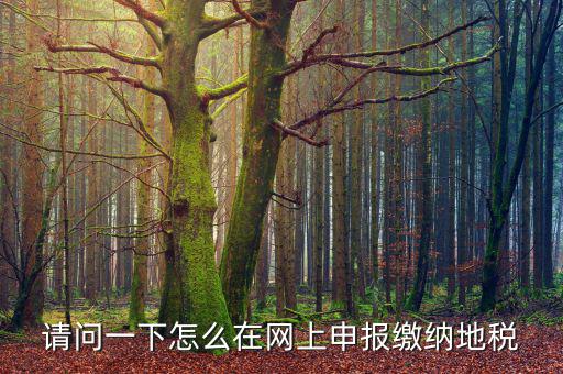 地稅個稅網(wǎng)址是什么，如何查詢個人所得稅明細