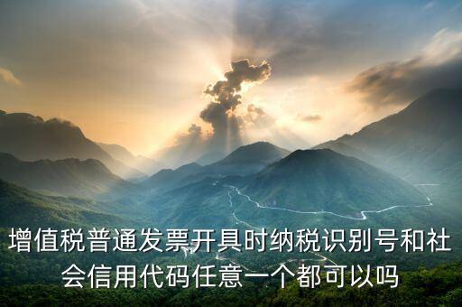 增值稅普通發(fā)票開具時(shí)納稅識別號和社會信用代碼任意一個(gè)都可以嗎