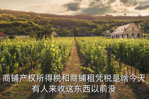 什么是商鋪?zhàn)赓U稅，商鋪出租應(yīng)交哪些稅