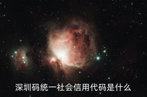統(tǒng)一社會信用代碼是指什么不同，深圳碼統(tǒng)一社會信用代碼是什么