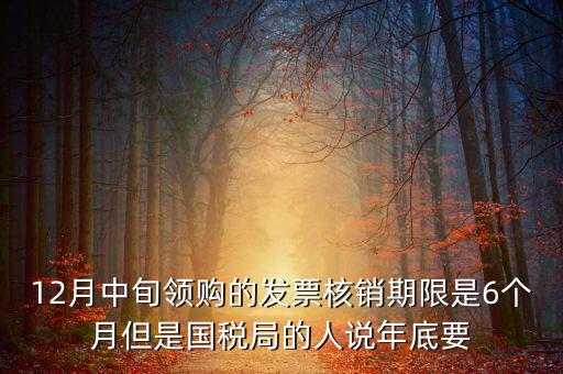 12月中旬領(lǐng)購(gòu)的發(fā)票核銷期限是6個(gè)月但是國(guó)稅局的人說(shuō)年底要