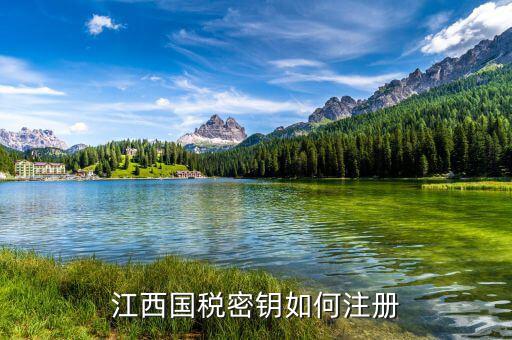 江西國稅密鑰是什么意思，為啥江西國稅的CA密鑰總是裝不成功
