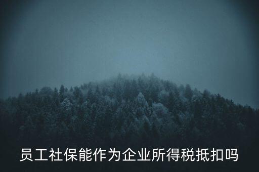 企業(yè)社?？梢缘质裁炊悾瑔T工社保能作為企業(yè)所得稅抵扣嗎