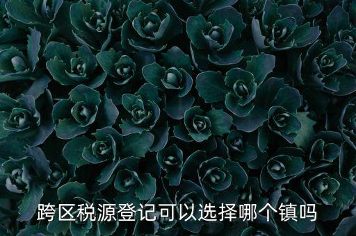 跨區(qū)稅源登記是什么，跨區(qū)稅源登記能否登記為一般納稅人