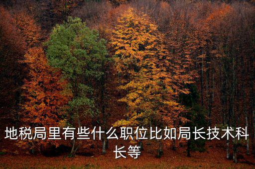 地稅局有什么委員，地級市稅務局辦公室副主任屬什么級別的官員