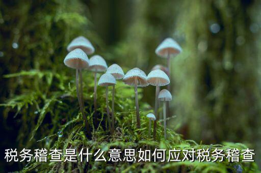 什么是稅務(wù)稽查積案，稅務(wù)稽查本指什么