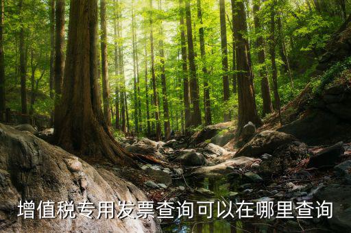 什么地方可以查發(fā)票內(nèi)容，怎樣通過發(fā)票號(hào)碼查尋發(fā)票內(nèi)容