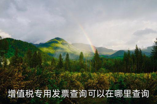 在什么網(wǎng)站查發(fā)票，發(fā)票查驗(yàn)在哪里查