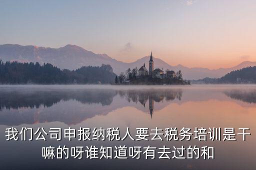 我們公司申報(bào)納稅人要去稅務(wù)培訓(xùn)是干嘛的呀誰(shuí)知道呀有去過的和