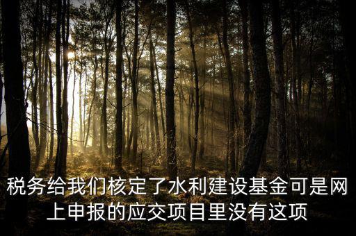 為什么水利建設(shè)無法申報(bào)，地稅電子稅務(wù)局的水利基金下滑找不到申報(bào)怎么辦