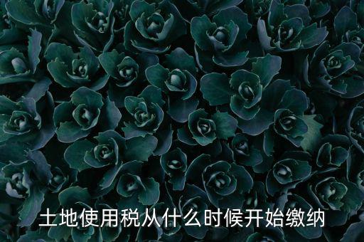 土地使用稅什么時候開始交，什么時候開始繳納房產(chǎn)稅和土地使用稅是否都要繳納