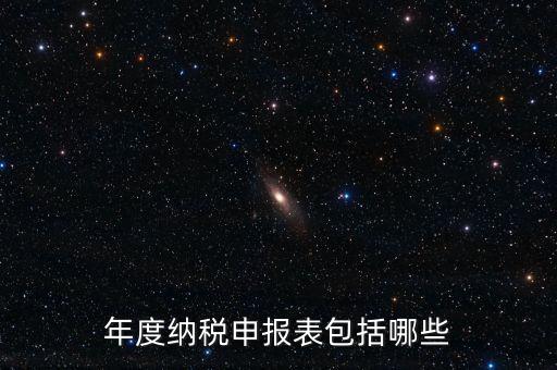 什么是年度納稅申報表，年度納稅申報表包括哪些
