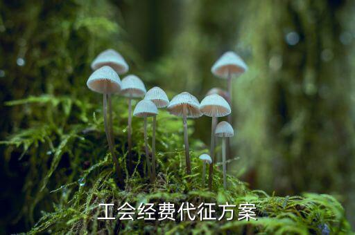 工會經(jīng)費為什么委托稅務(wù)機關(guān)代征，工會經(jīng)費交地稅局是怎么回事