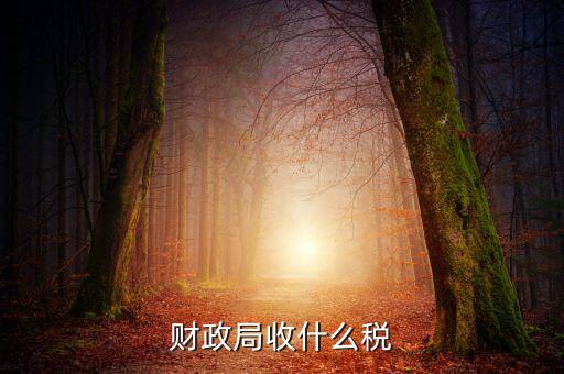 財政局征收什么稅，現行由財政機關征收的稅收有哪些拜托各位大神