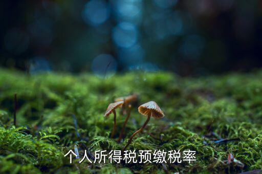 什么是個(gè)人所得稅預(yù)征率，個(gè)人所得稅預(yù)扣預(yù)繳是什么意思