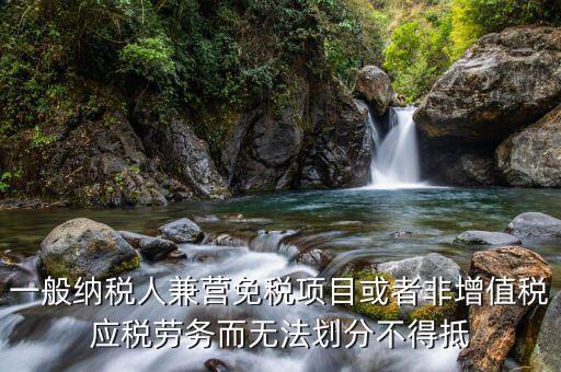 一般納稅人兼營免稅項目或者非增值稅應稅勞務而無法劃分不得抵