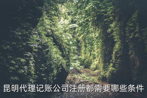 昆明報(bào)稅要什么條件，httpswwwkmgsgovcn 我是一個(gè)新客戶(hù)要怎樣才能進(jìn)入昆明國(guó)稅局