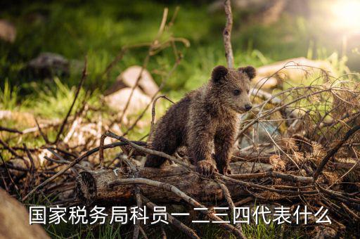 上海稅務(wù)局說(shuō)的三員指什么，紀(jì)檢三員是指哪三員選舉三員是指哪三員