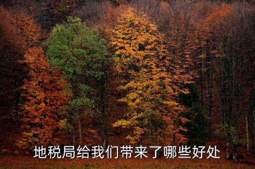 地稅有什么作用，地稅局給我們帶來了哪些好處