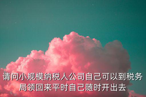 請(qǐng)問(wèn)小規(guī)模納稅人公司自己可以到稅務(wù)局領(lǐng)回來(lái)平時(shí)自己隨時(shí)開(kāi)出去