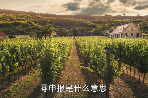 免于零申報(bào)什么意思，免于零申報(bào)是什么意思