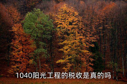 什么是陽(yáng)光稅務(wù)，1040陽(yáng)光工程的稅收是真的嗎